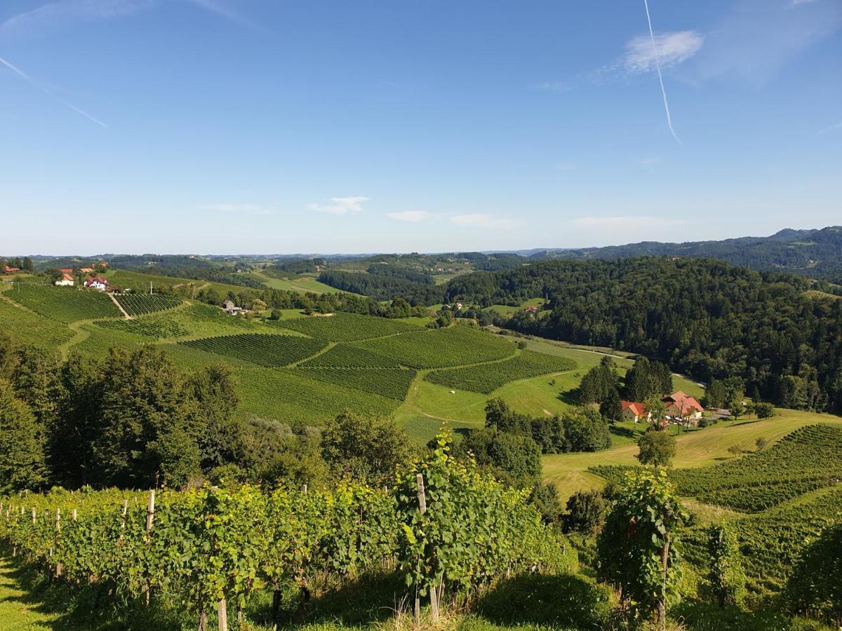 Ferienwohnungen Kres Gamlitz Buitenkant foto